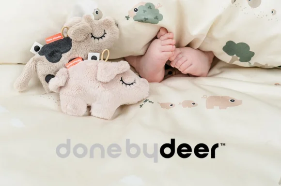 home-cat-2-donebydeer-2025
