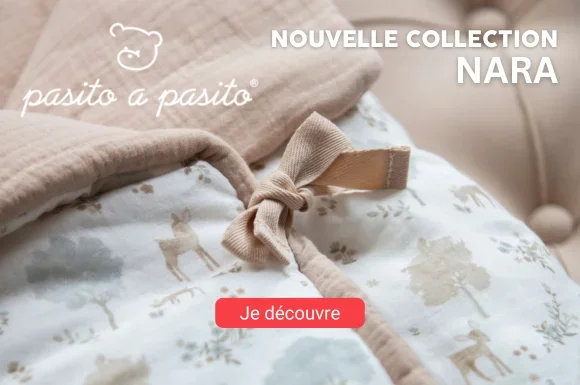 home-cat-2-pap-2025
