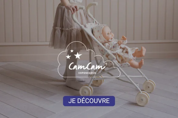 home-cat-2-cam-cam-25