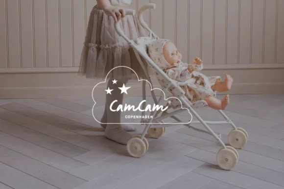 home-cat-2-cam-cam-nov-25