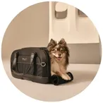 Panier pour animaux