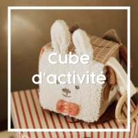 Cube d'activité
