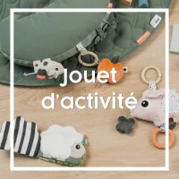 Jouet d'activité