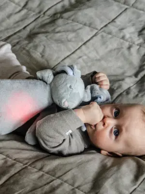 La veilleuse peluche