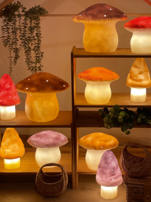 La veilleuse décorative