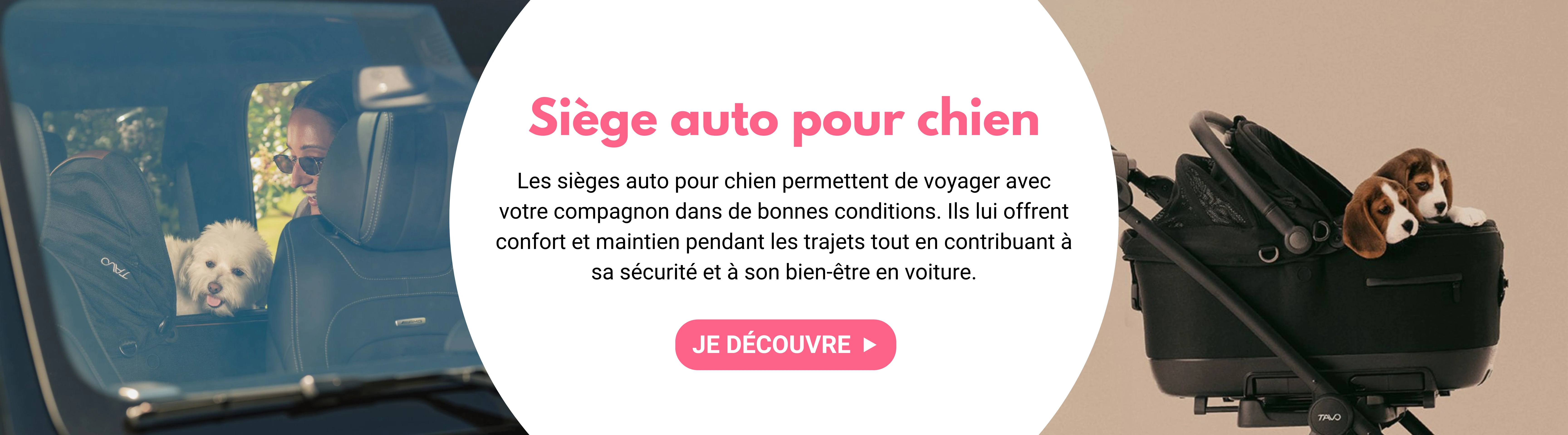 Siège auto pour chien