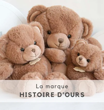 Histoire d'ours