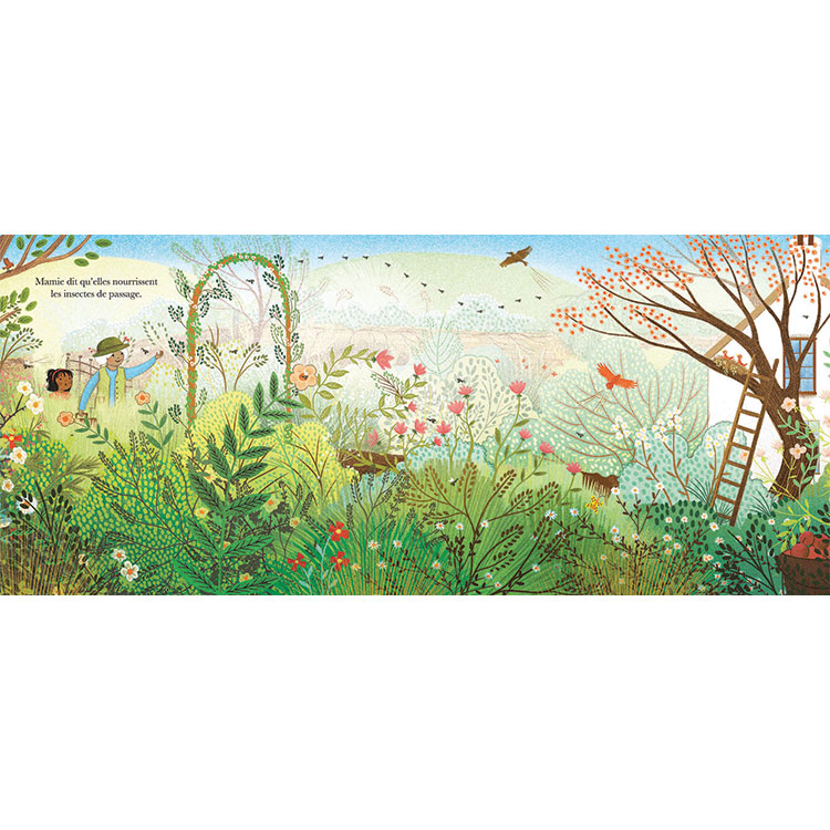 Livre Le jardin de mamie (Editions Kimane) - Image 4