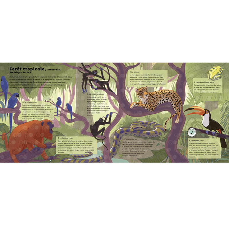 Livre sonore Le monde des forêts (collection Les sons de la nature) (Auzou Editions) - Image 3