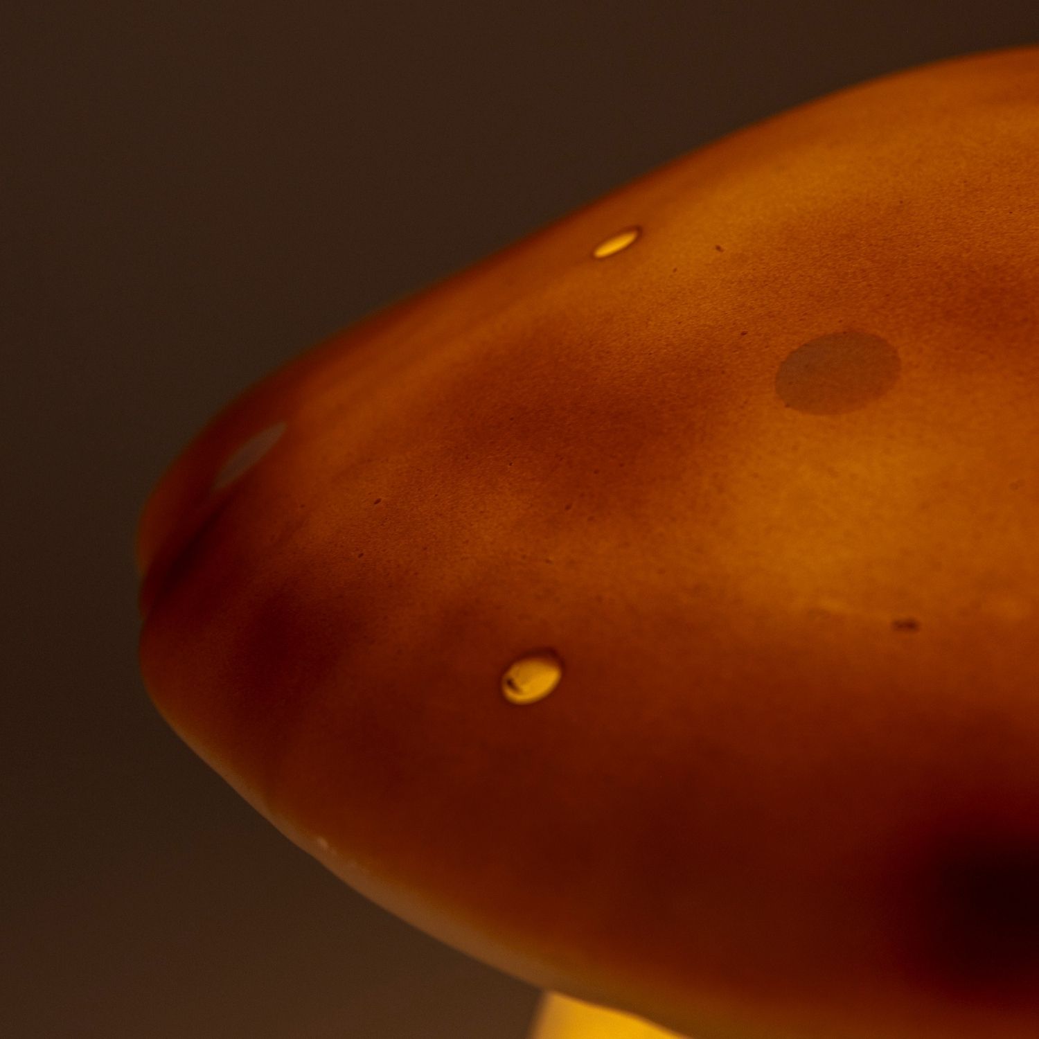 Lampe veilleuse champignon Chocolat (Egmont Toys) - Image 4