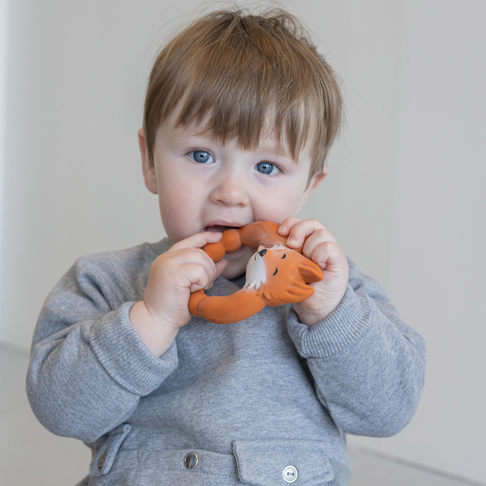 Anneau de dentition Renard (Natruba) - Image 6