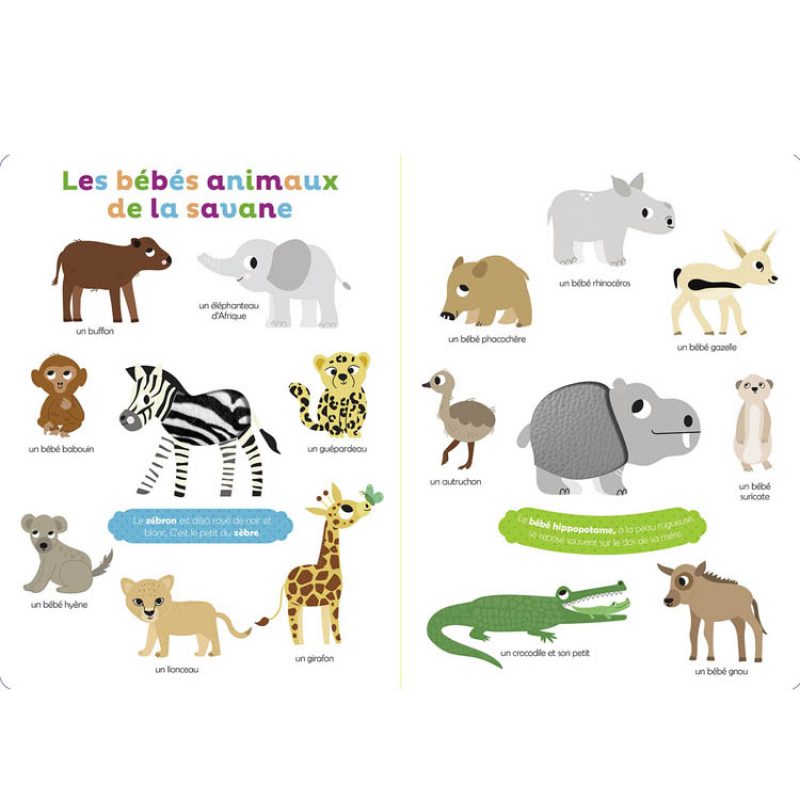 Livre Mes premiers bébés animaux à toucher (Auzou Editions) - Image 1