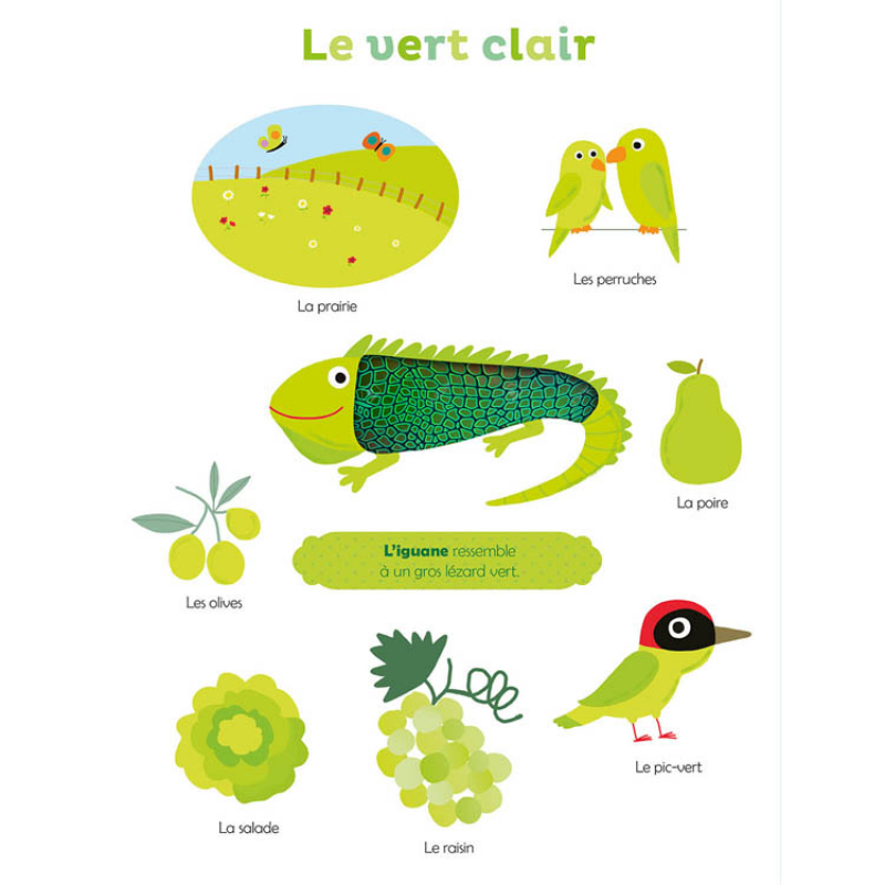 Livre Mes premières couleurs à toucher (Auzou Editions) - Image 1