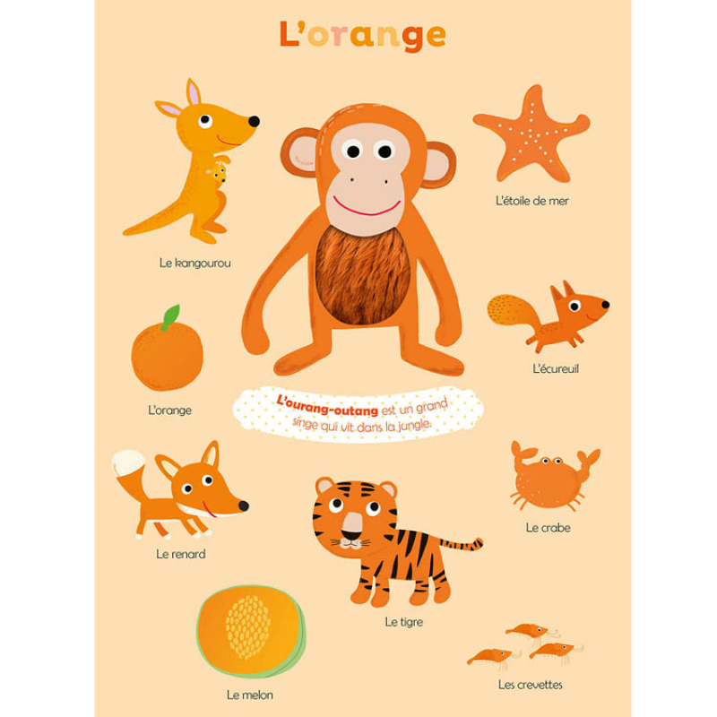 Livre Mes premières couleurs à toucher (Auzou Editions) - Image 3