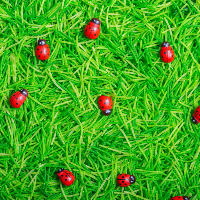 Bouteille sensorielle Sound Coccinelles (Petit Boum) - Image 5