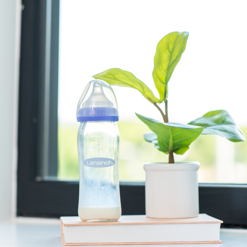 Lansinoh - Biberon en verre Natural Wave spécial allaitement (240 ml)