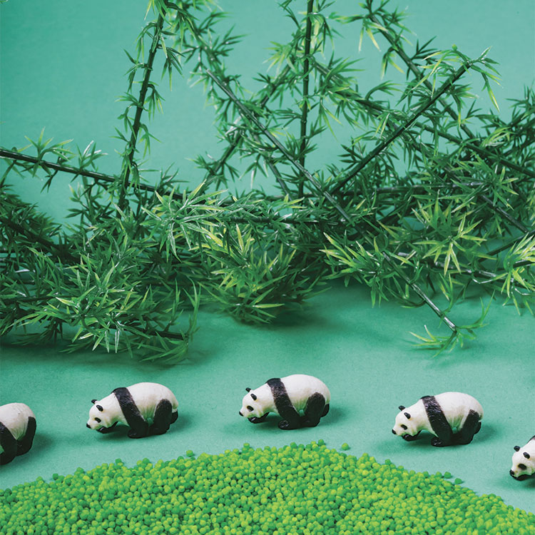 Bouteille sensorielle Sound Panda (Petit Boum) - Image 1