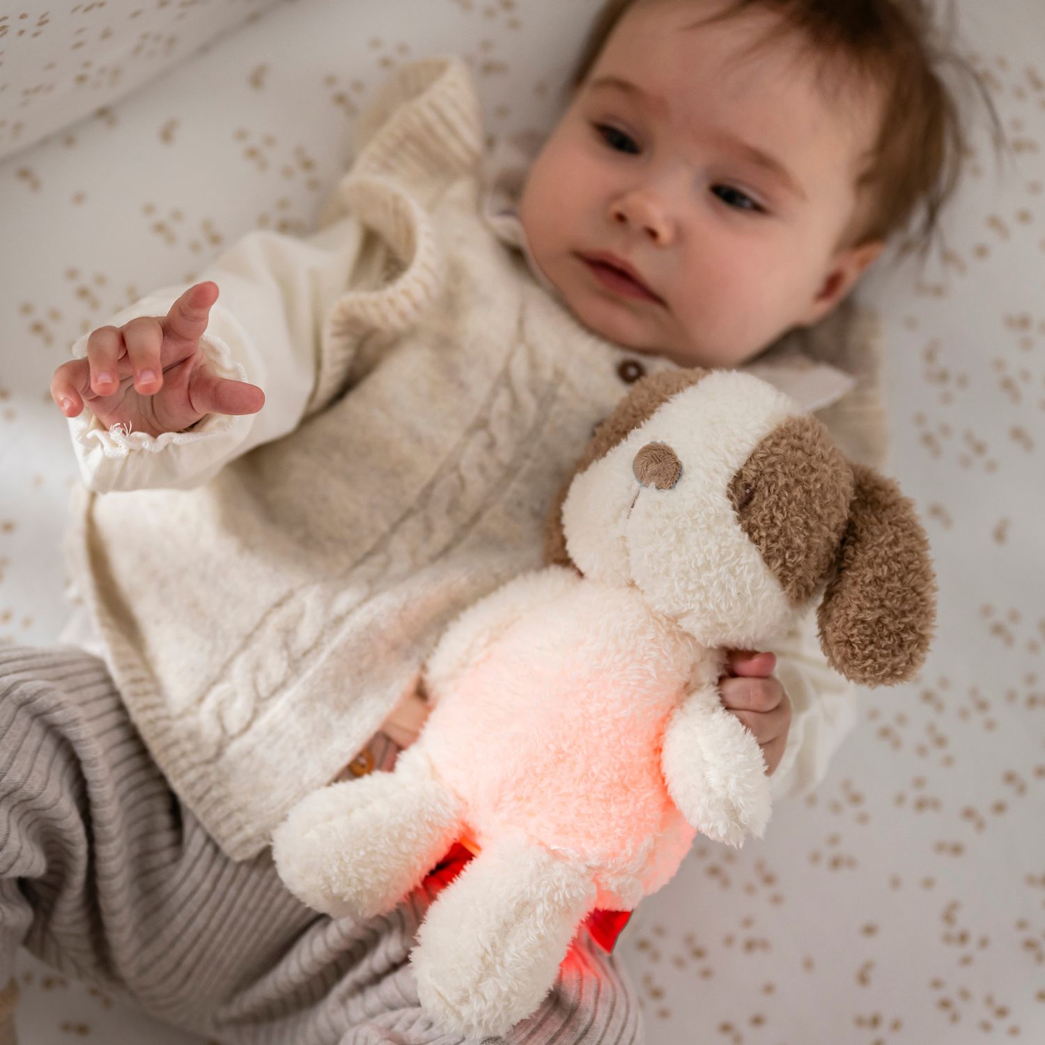 Peluche veilleuse Chien (25 cm) (Nattou) - Image 2