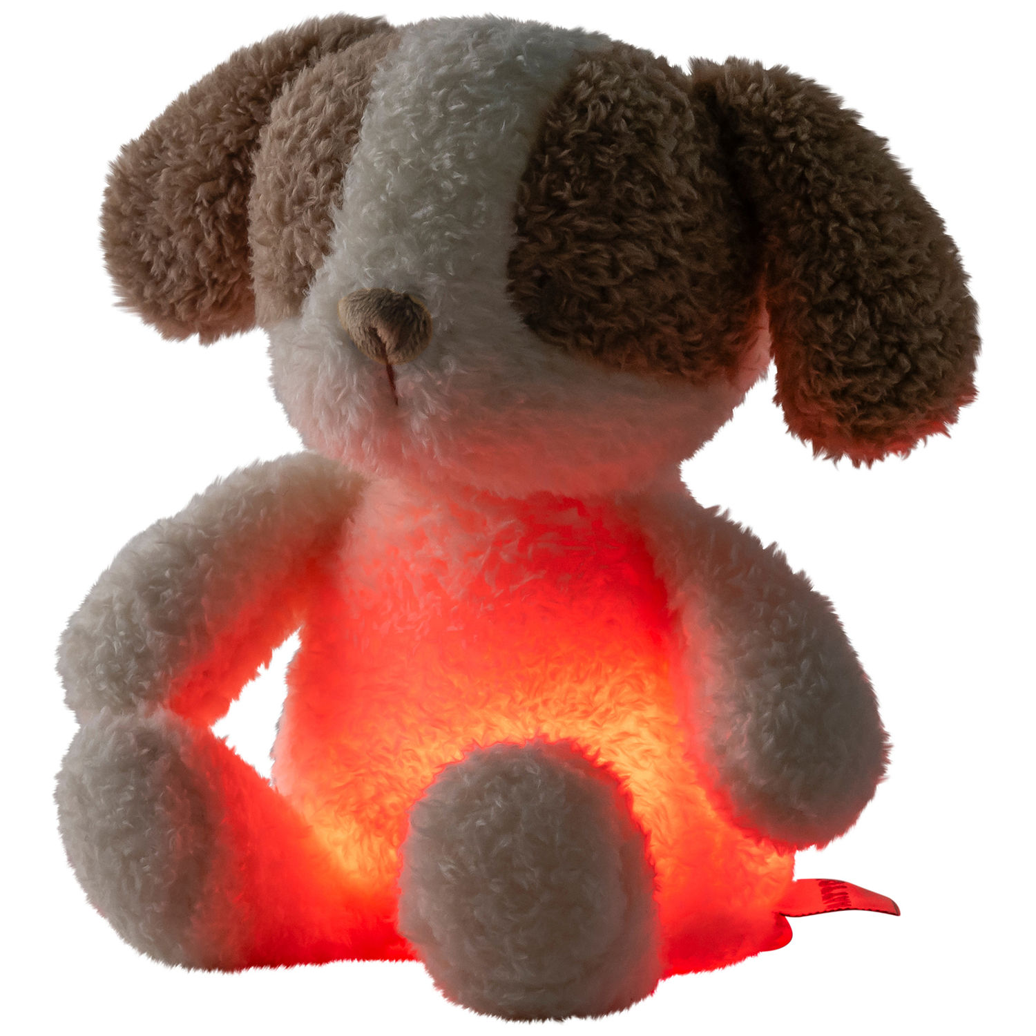 Peluche veilleuse Chien (25 cm) (Nattou) - Image 6
