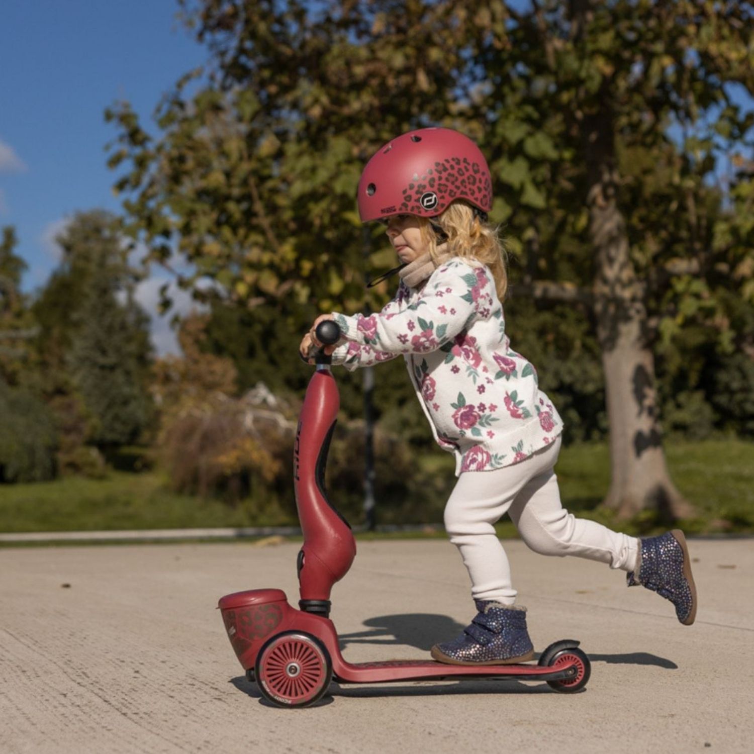 Porteur évolutif en Highwaykick 1 Lifestyle Wildcat (Scoot and ride) - Image 1