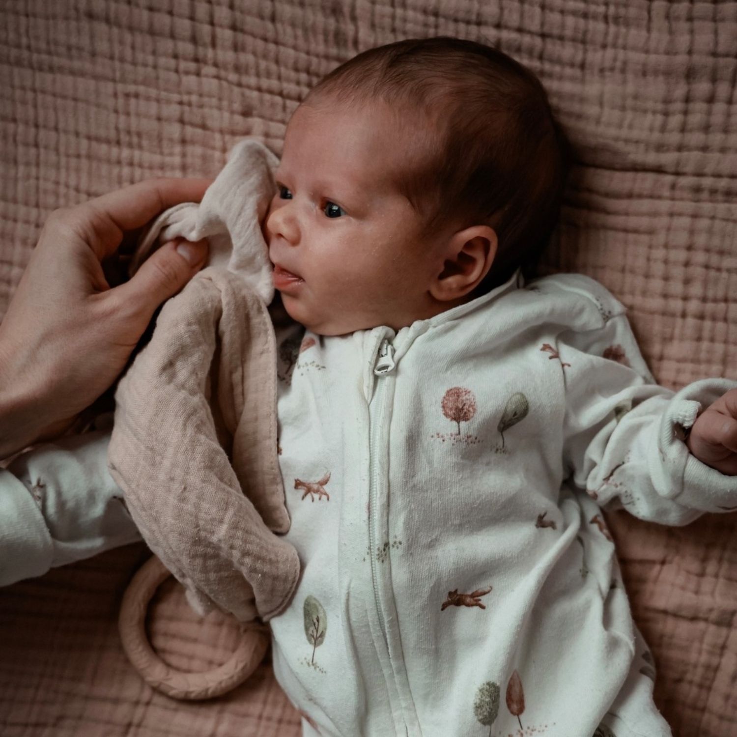 Doudou de dentition Leaf Cream (Natruba) - Image 2