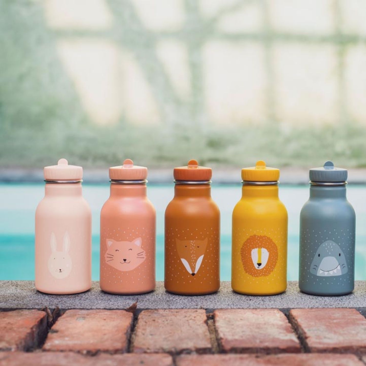 Gourde renard Mr. Fox (350 ml) (Trixie) - Image 6