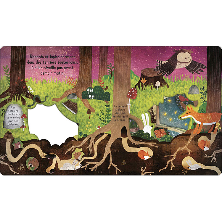 Livre Bonne nuit, la forêt ! (Editions Kimane) - Image 5