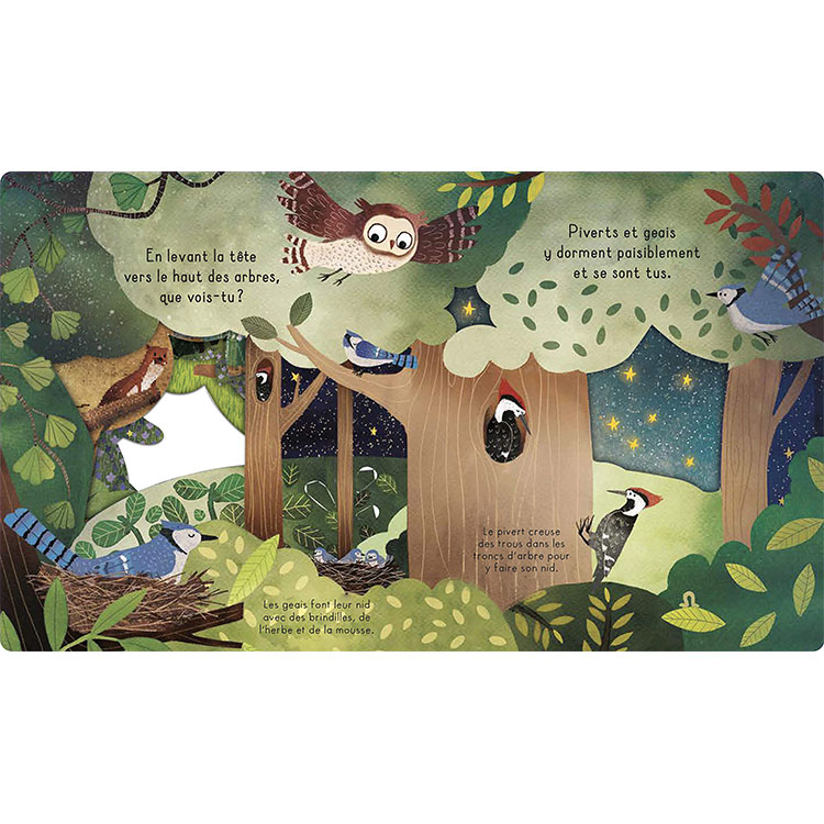 Livre Bonne nuit, la forêt ! (Editions Kimane) - Image 6