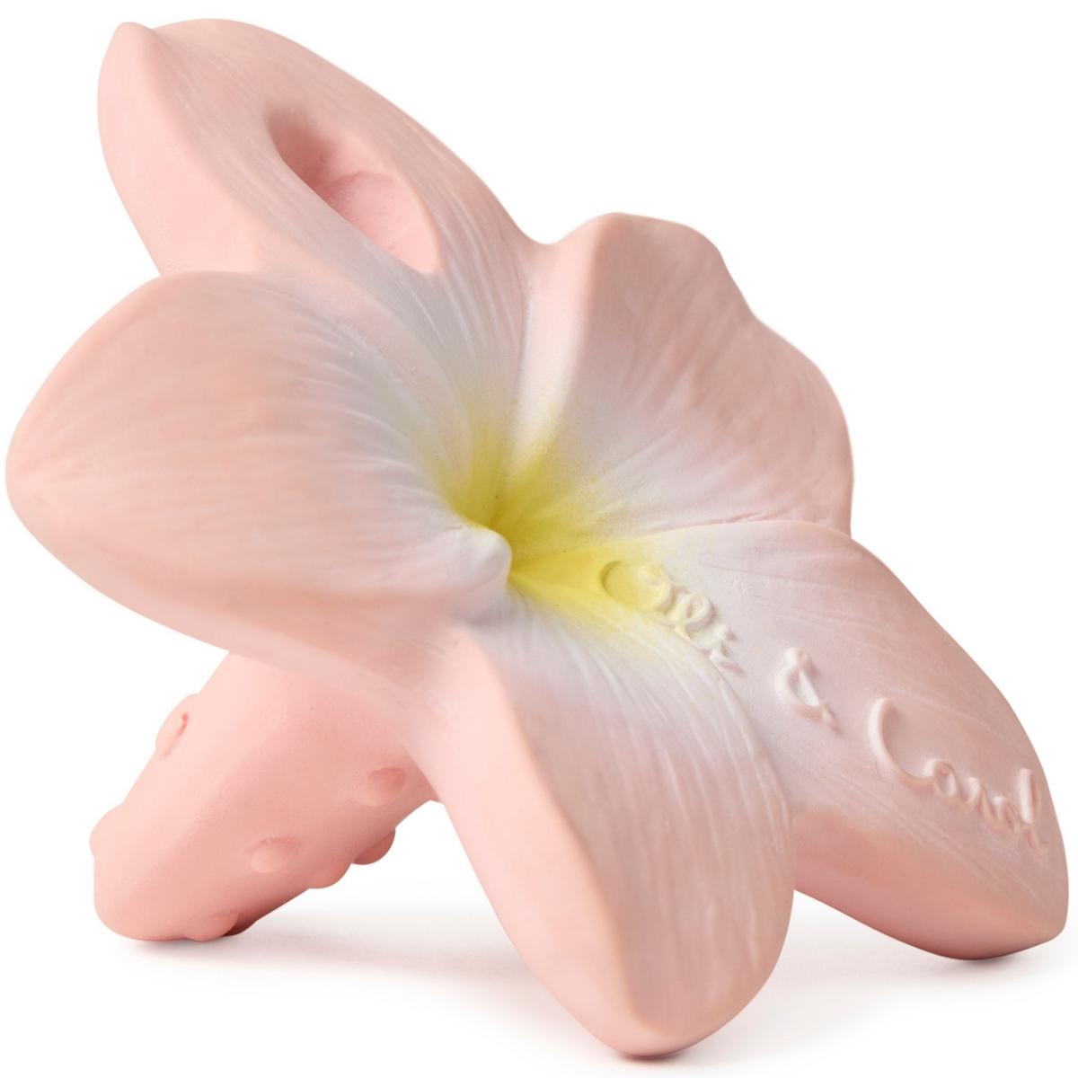 Mini jouet de dentition Bella the flower (Oli and Carol) - Image 6