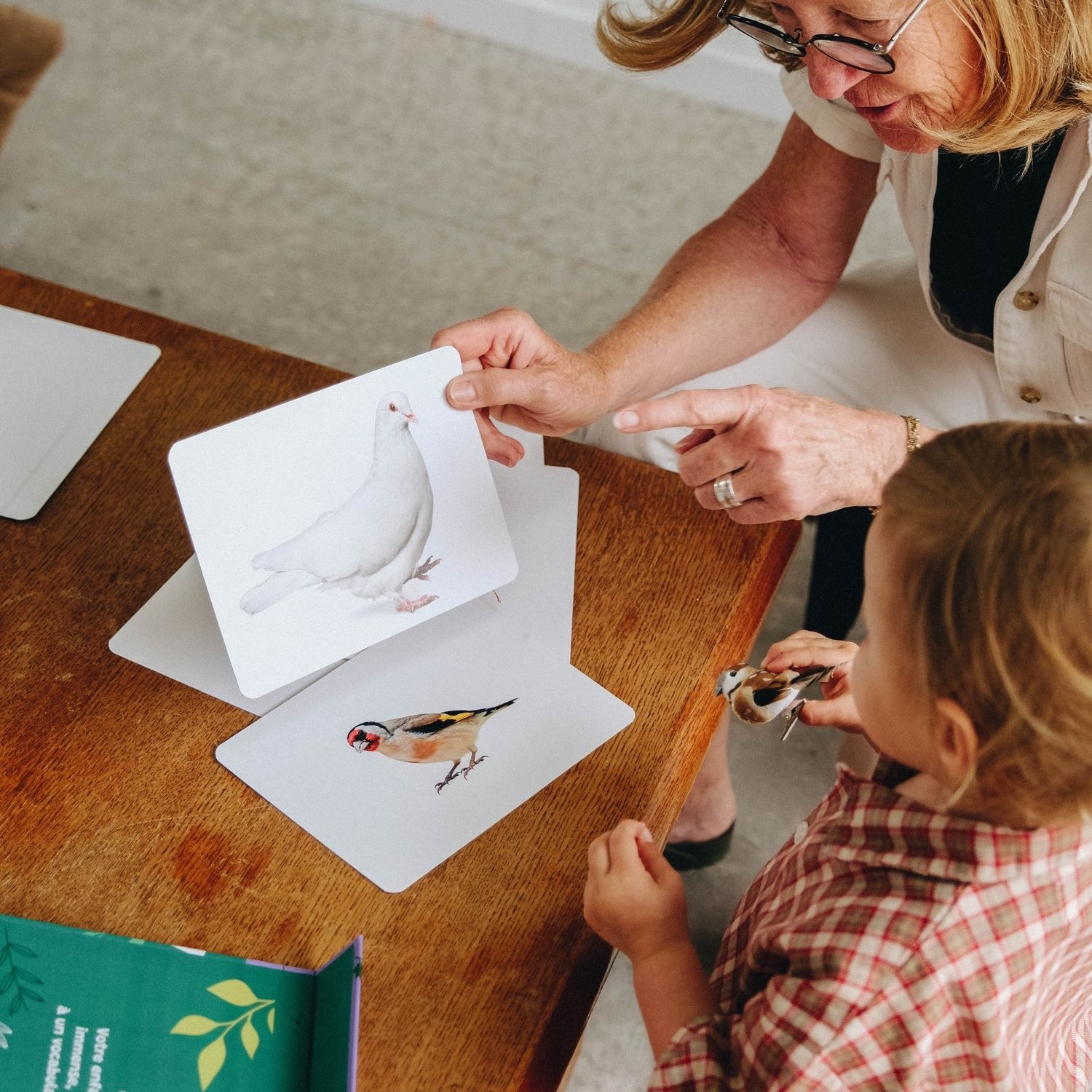 Coffret Mondy des Curieux (45 cartes de langage bilingues sur le thème de la nature) (Observe Édition) - Image 2