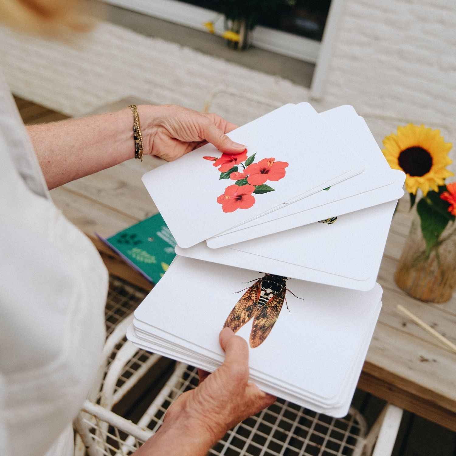 Coffret Mondy des Curieux (45 cartes de langage bilingues sur le thème de la nature) (Observe Édition) - Image 3