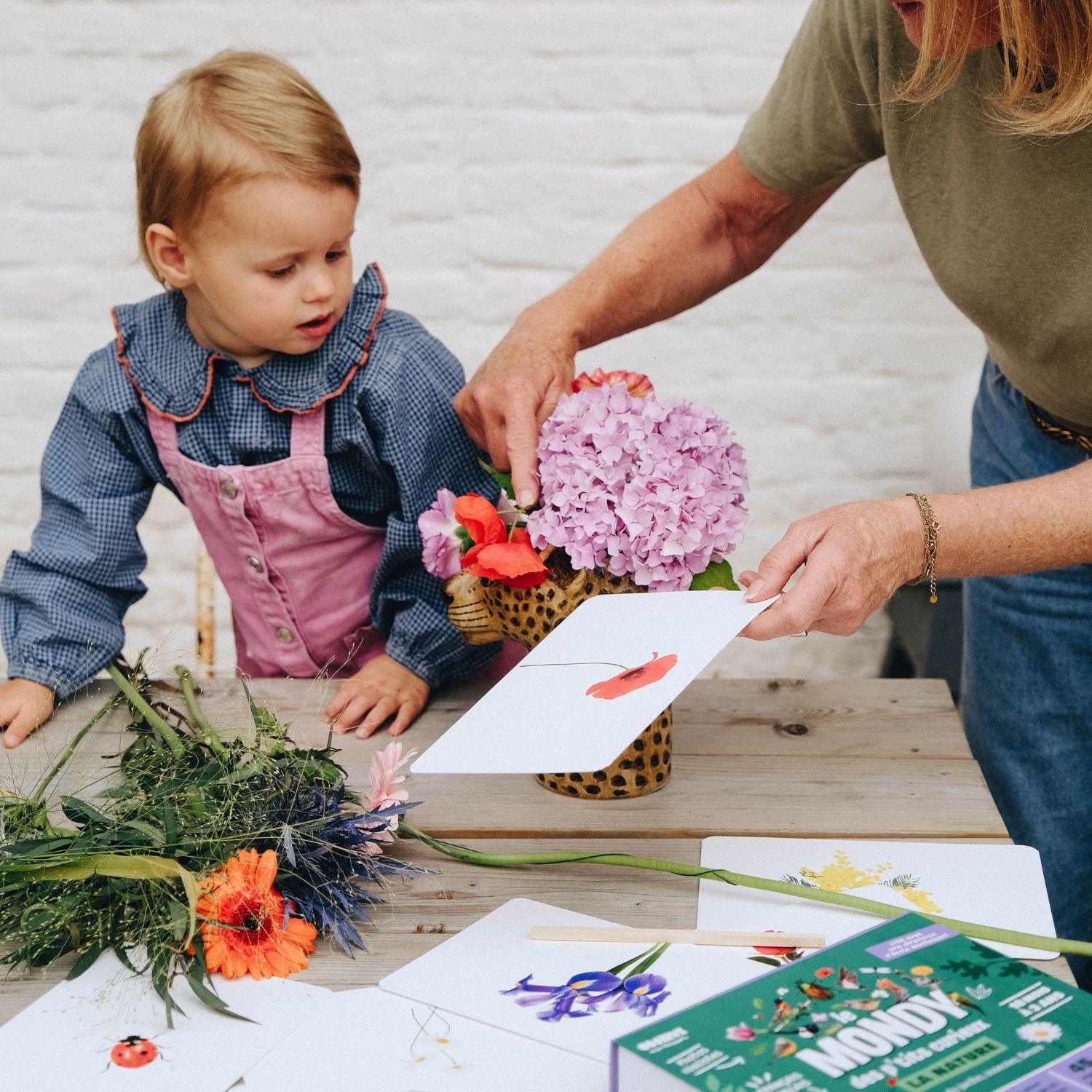 Coffret Mondy des Curieux (45 cartes de langage bilingues sur le thème de la nature) (Observe Édition) - Image 4