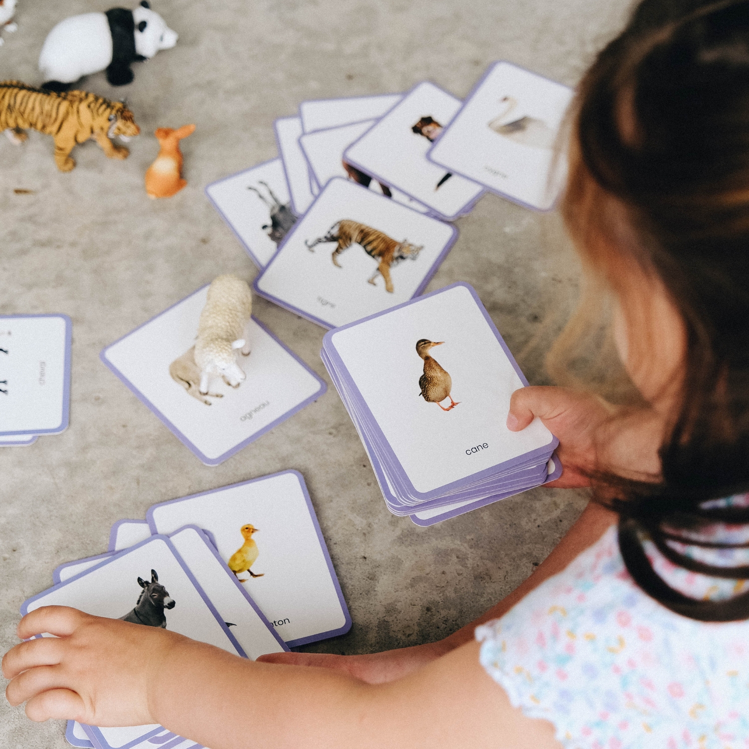 Coffret Mini Mondy (jeu de langage autour des animaux) (Observe Édition) - Image 1