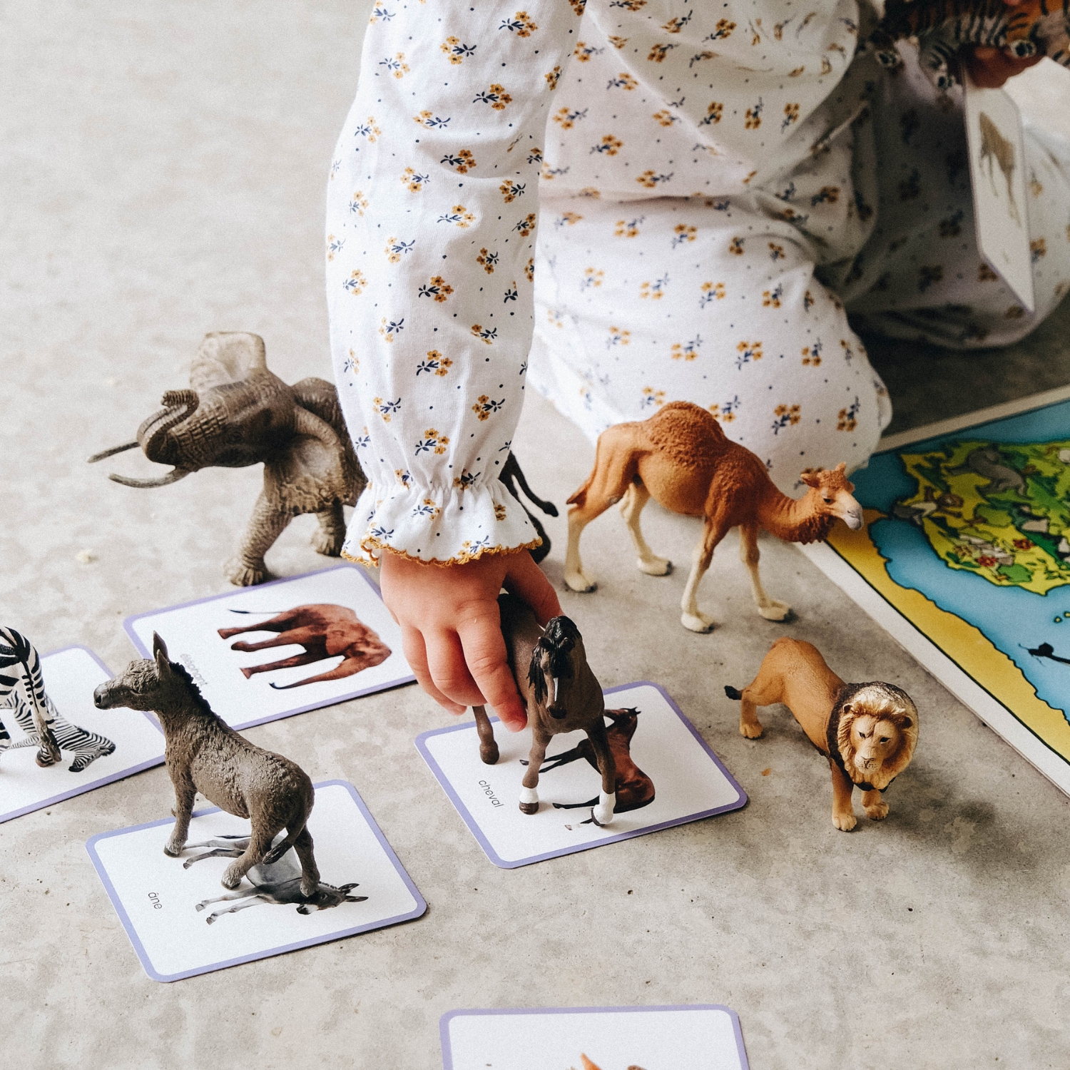 Coffret Mini Mondy (jeu de langage autour des animaux) (Observe Édition) - Image 2