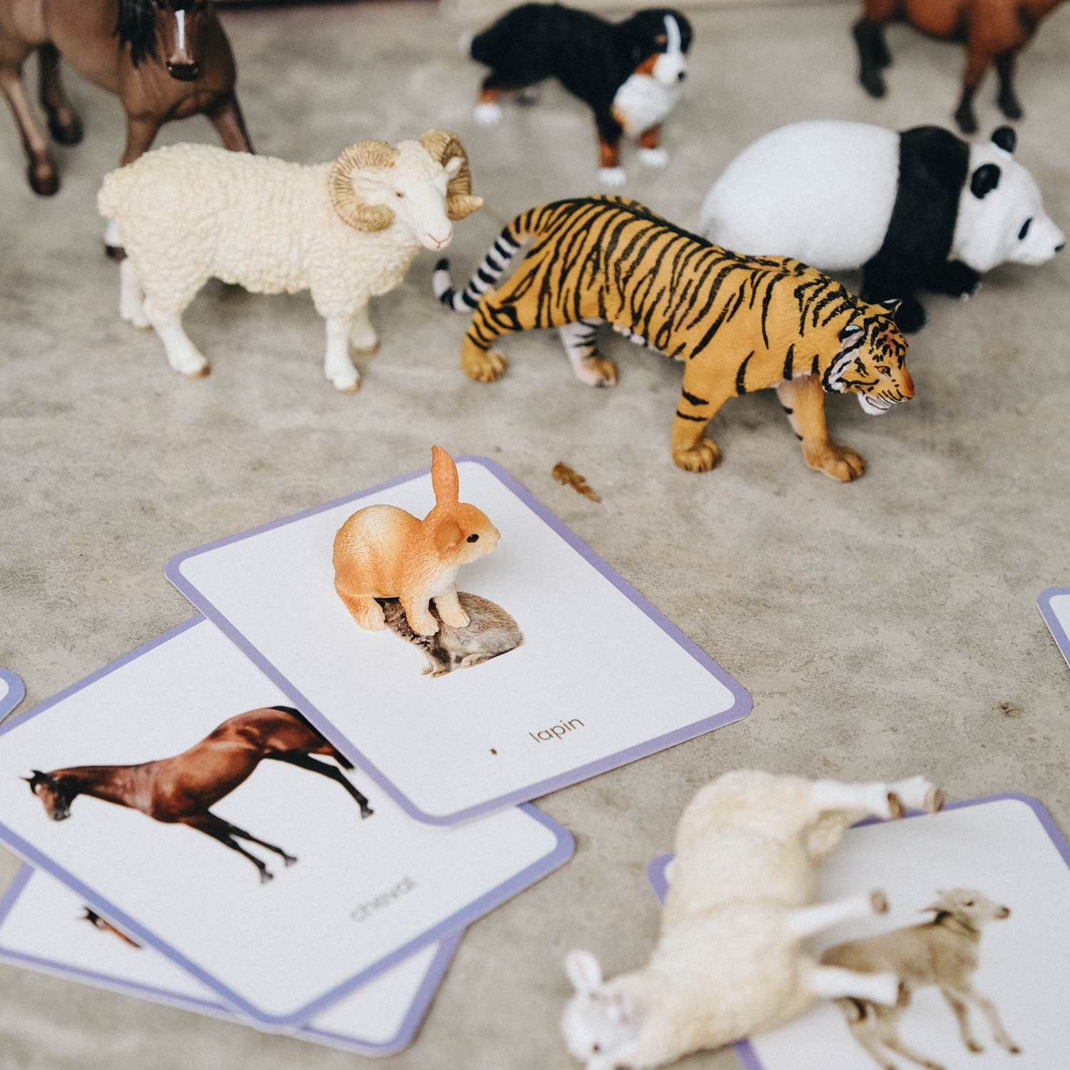 Coffret Mini Mondy (jeu de langage autour des animaux) (Observe Édition) - Image 3