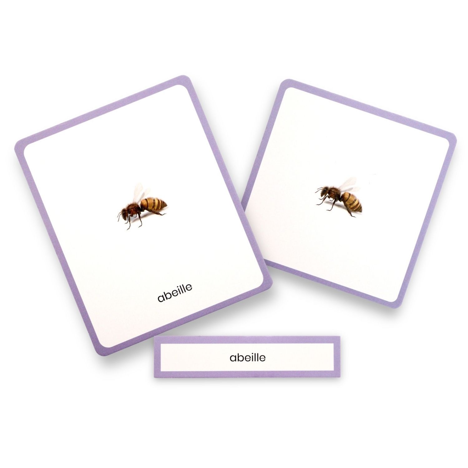 Coffret Mini Mondy (jeu de langage autour des animaux) (Observe Édition) - Image 5