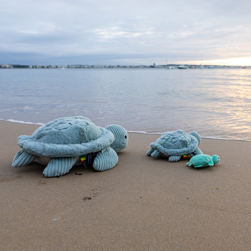 Peluche Les Ptipotos Sauvenou maman et bébé tortue menthe (29 cm) (Les Déglingos) - Image 5