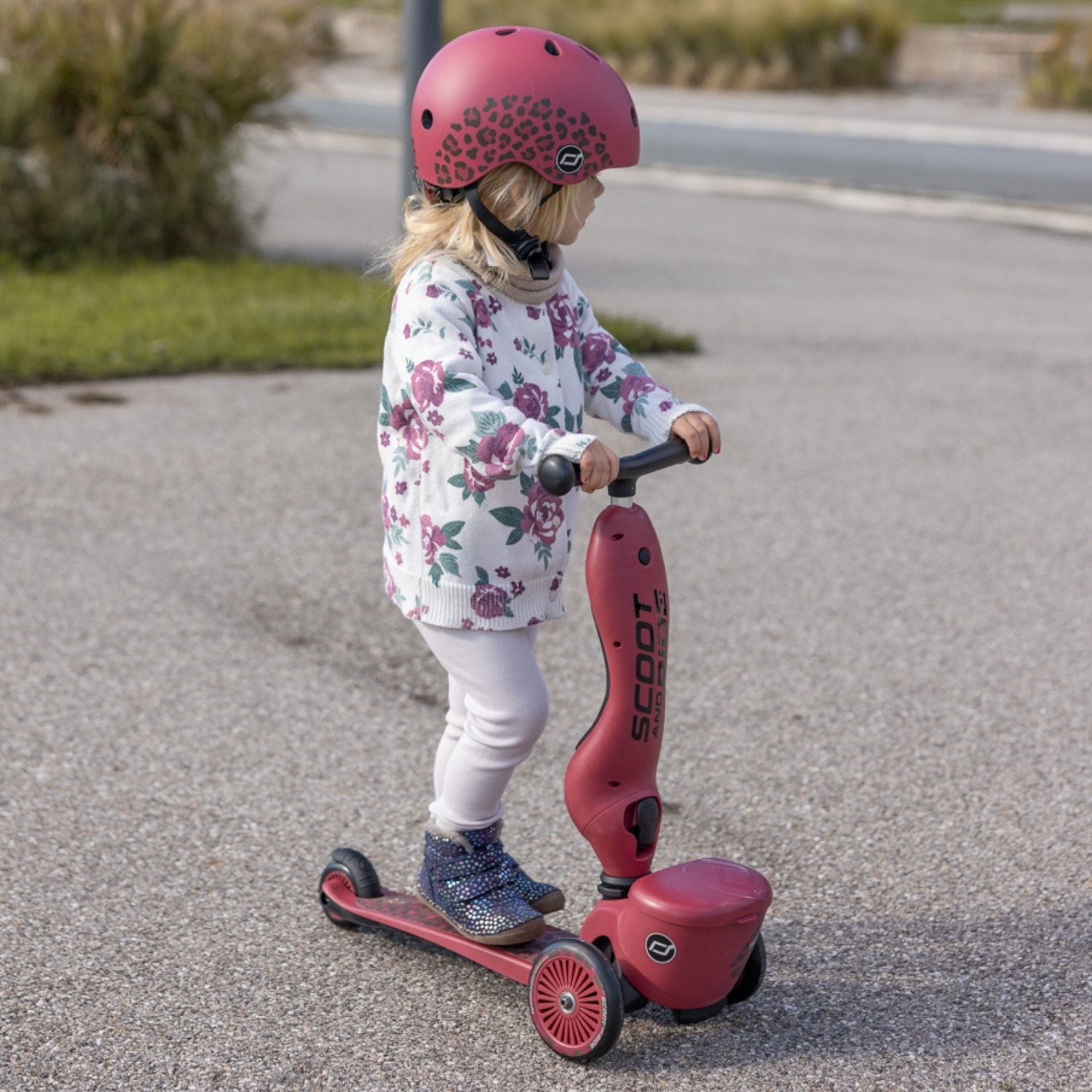 Trottinette 2-1 Highwaykick 1 Wildcat (Scoot And Ride) - Image 8