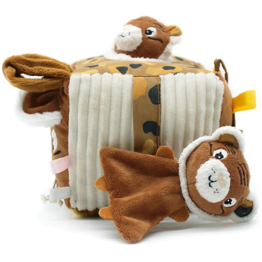 Cube d'activités Speculos le tigre (Les Déglingos) - Image 4