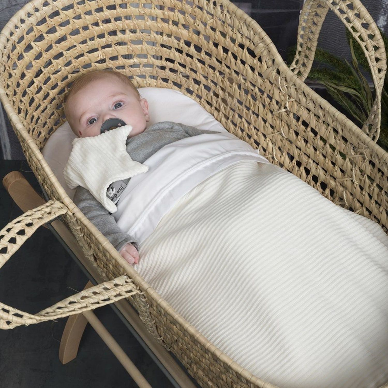 Couverture en teddy Sense blanche (70 x 95 cm) (Baby's Only) - Image 2