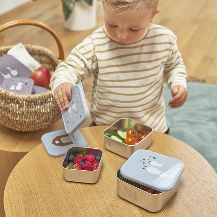 Lot de 3 boîtes à goûter Tiny Farmer bleu (Lassig) - Image 2