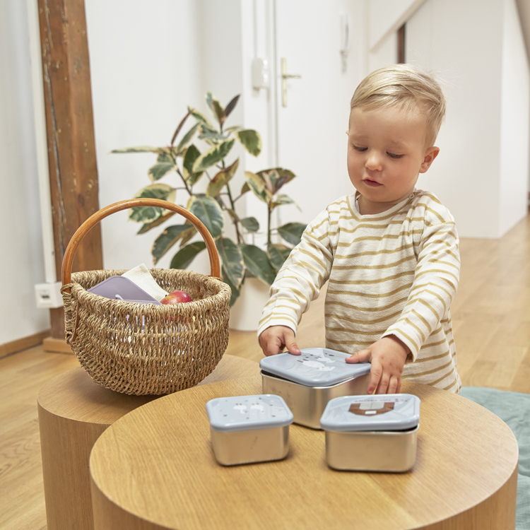 Lot de 3 boîtes à goûter Tiny Farmer bleu (Lassig) - Image 5