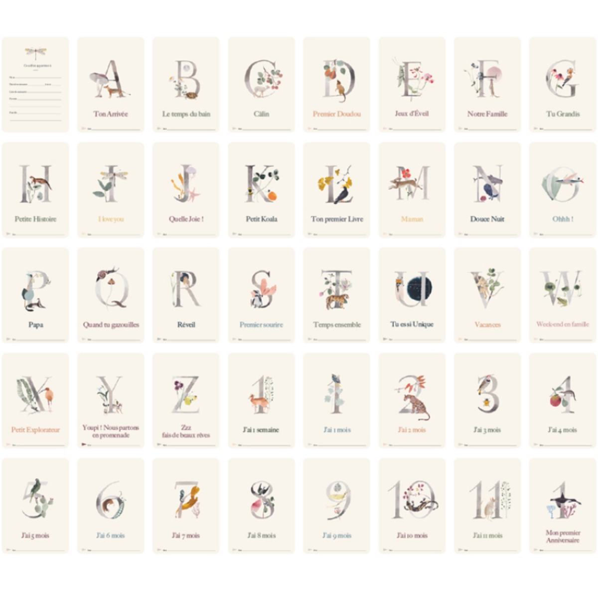 Cartes photos souvenirs Ma première année Luxe ABC (40 cartes) (Milestone) - Image 2