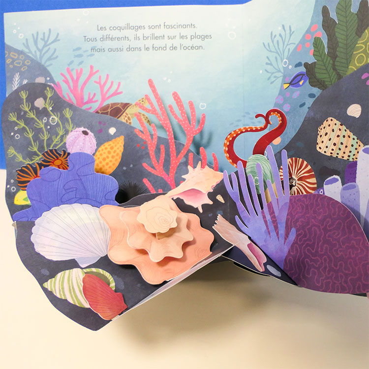 Livre pop-up Trésors de l'Océan (Editions Kimane) - Image 8