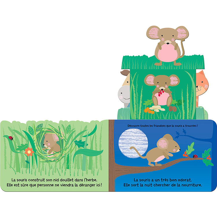 Livre Qui se cache dans le jardin ? (Editions Kimane) - Image 6