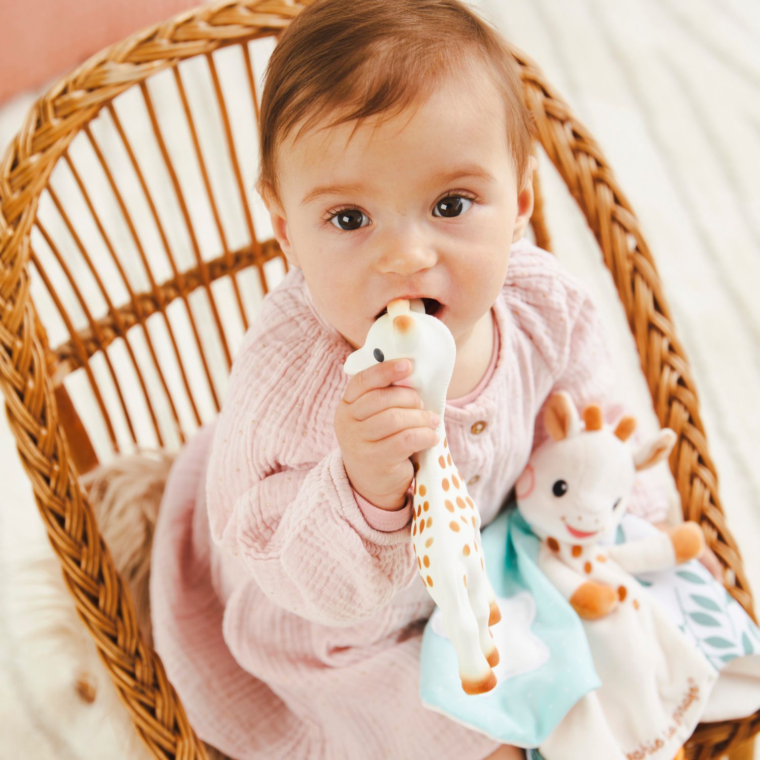 Coffret Sophie la girafe et son doudou (Sophie la girafe) - Image 1