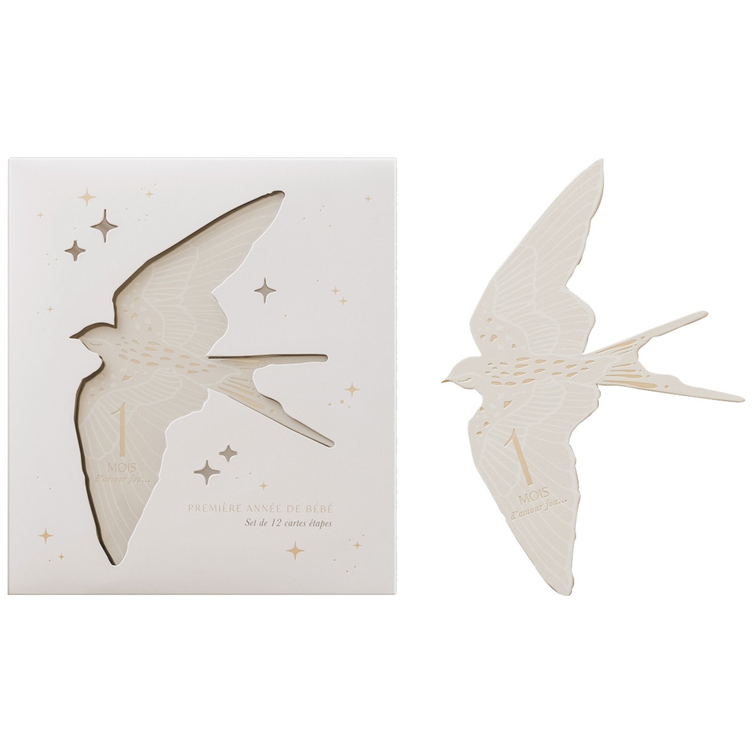 Cartes étapes Birds - 1ère année de bébé (Zakuw) - Image 1