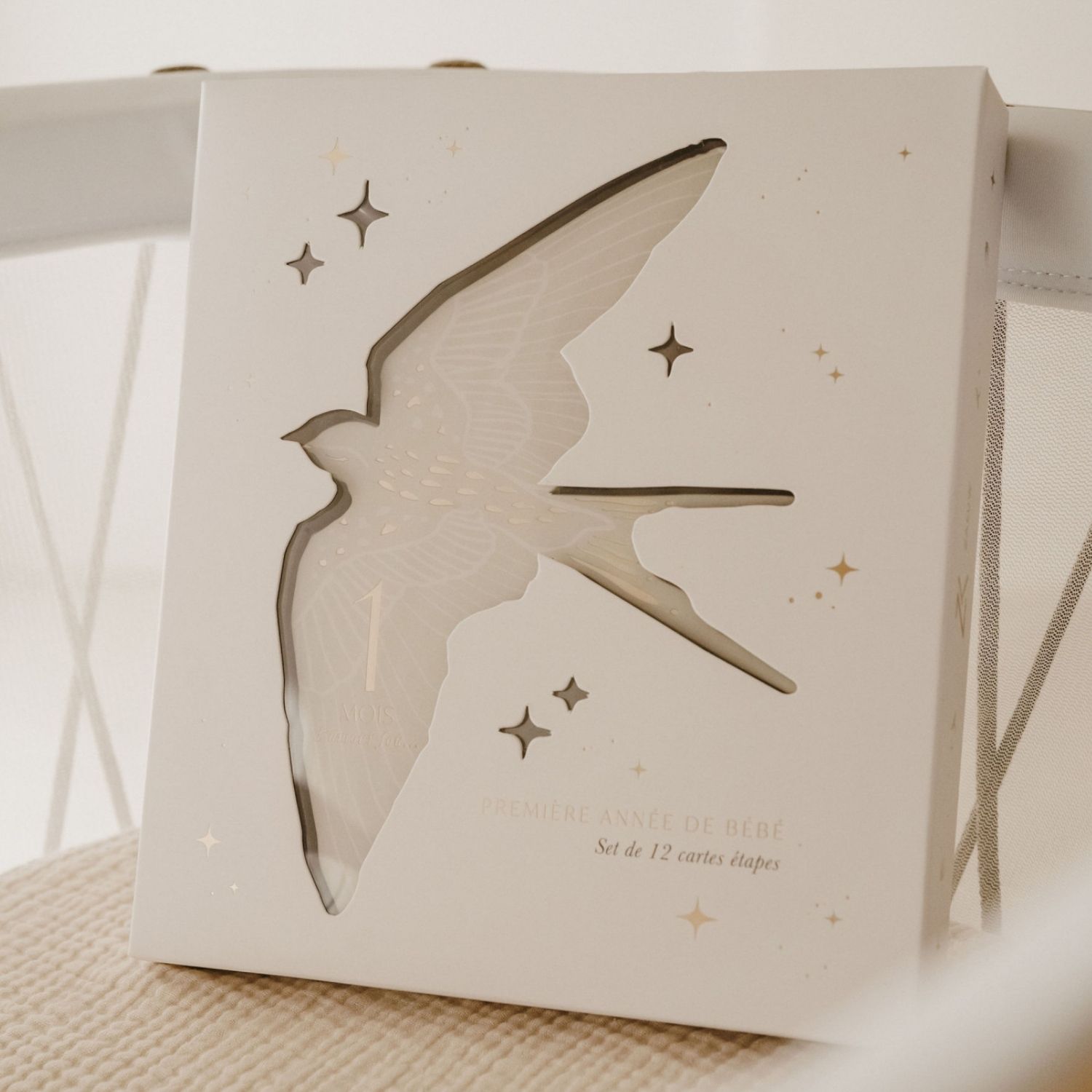 Cartes étapes Birds - 1ère année de bébé (Zakuw) - Image 2