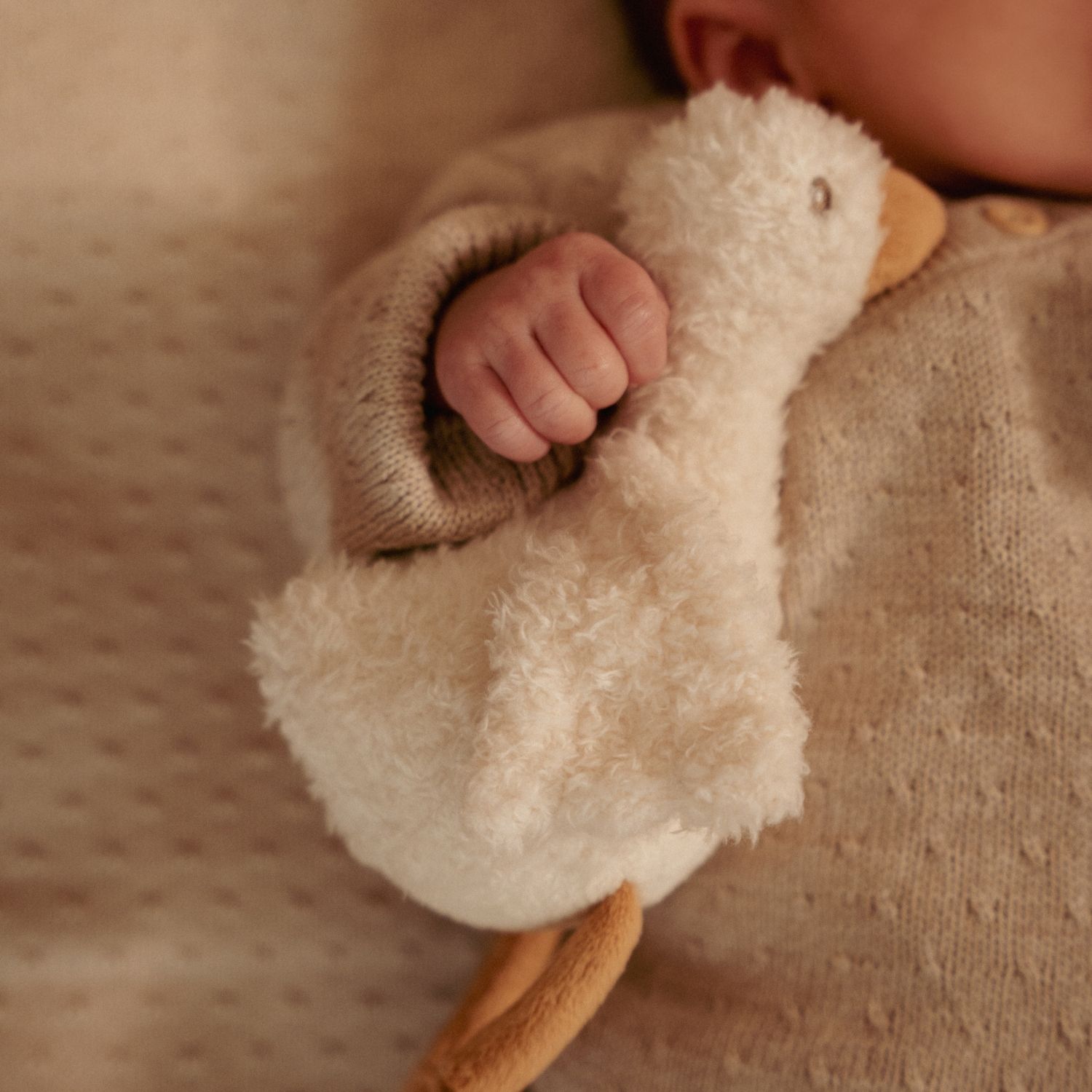 Coffret cadeau Newborn (Little Dutch) - Image 2