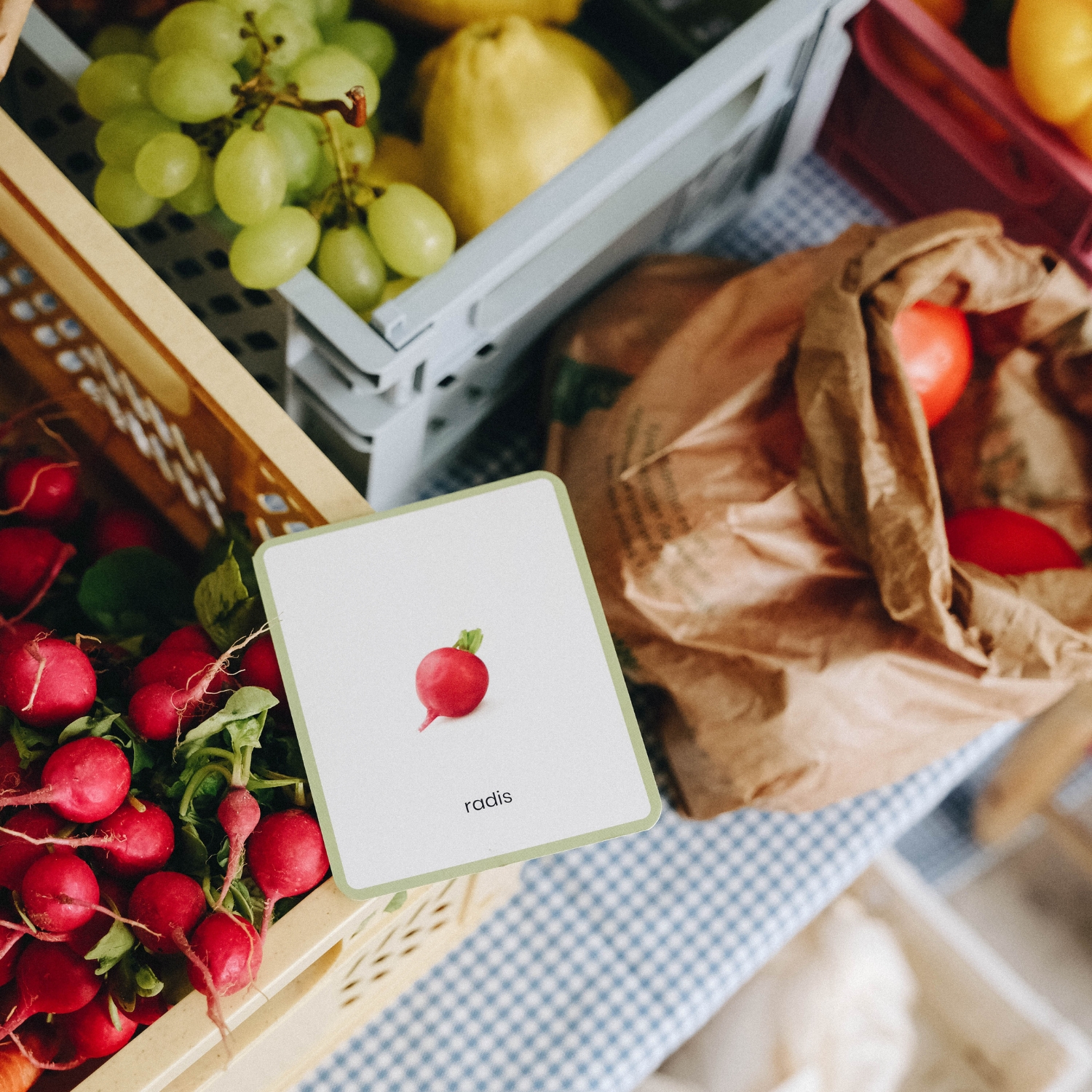 Coffret Mini Mondy (jeu de langage autour des fruits et légumes) (Observe Édition) - Image 4
